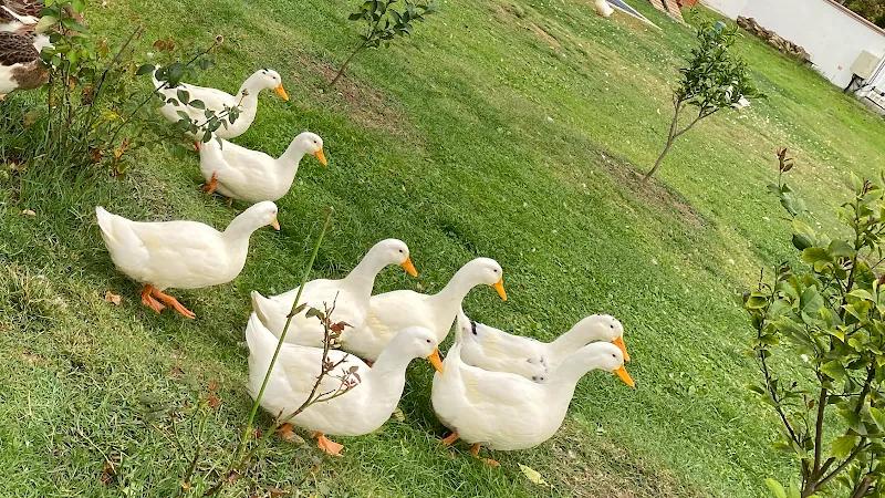 Casa Kilyos Padel Club